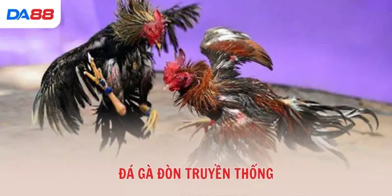 đá gà đòn truyền thống